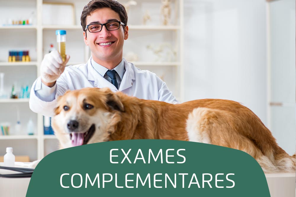 exames complementares